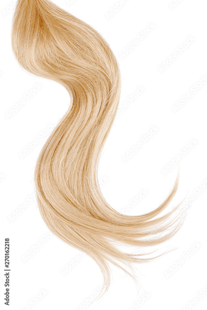 Blond hair isolated on white background. Long wavy ponytail