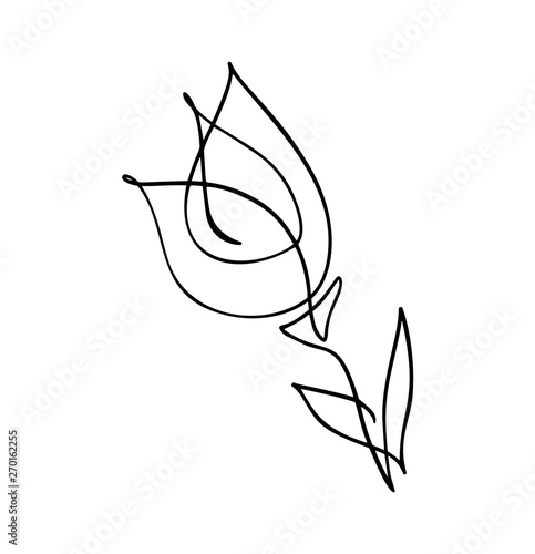 Tulip flower logo. Continuous line hand drawing calligraphic vector concept. Scandinavian spring floral design element in minimal style. black and white