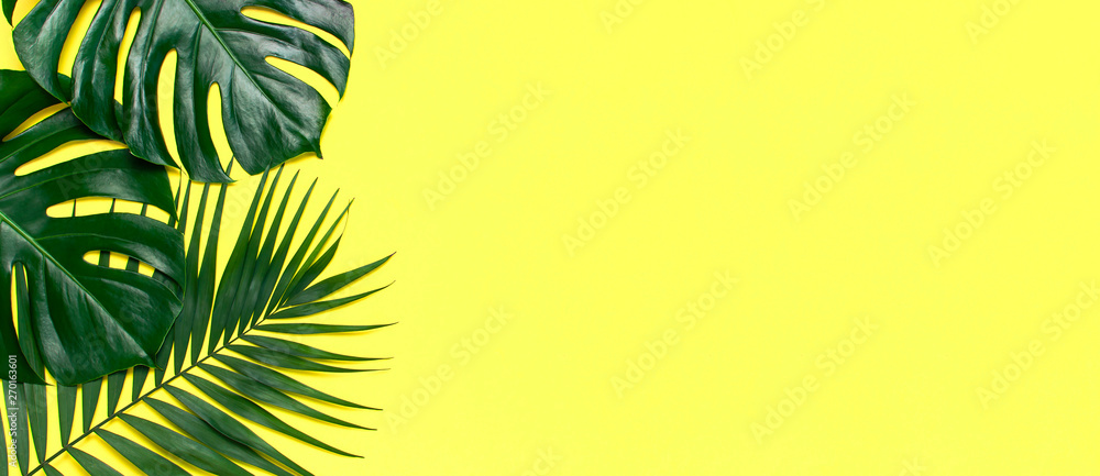 Tropical palm leaves and monstera leaf on pastel yellow background. Flat lay, top view, copy space. Summer background, nature. Creative minimal background with tropical leaves. Leaf pattern