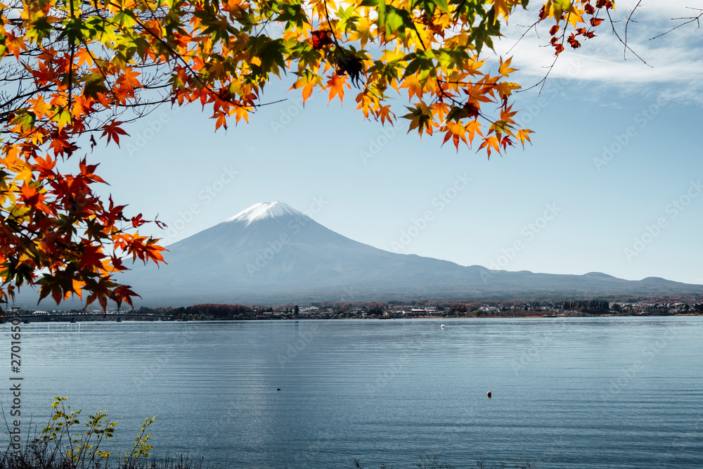 Fuji mountain and leaf in autumn at Kawaguchiko lake, Japan