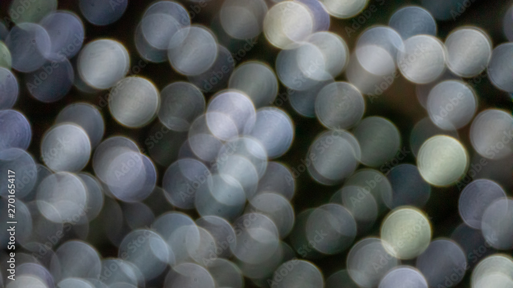 Abstract & Festive background Abstract & Festive background
