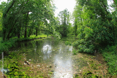 Old park with a natural pond