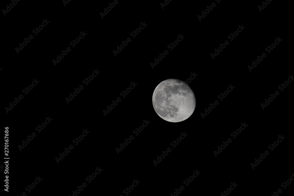 Mond Mond