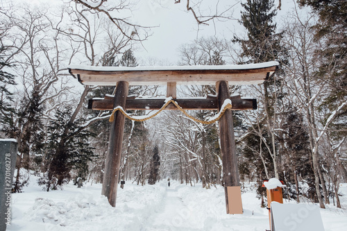 torii in snow at togakushi shrine, Japan