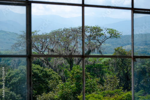 Vista de un paisaje bucolico desde una ventana 