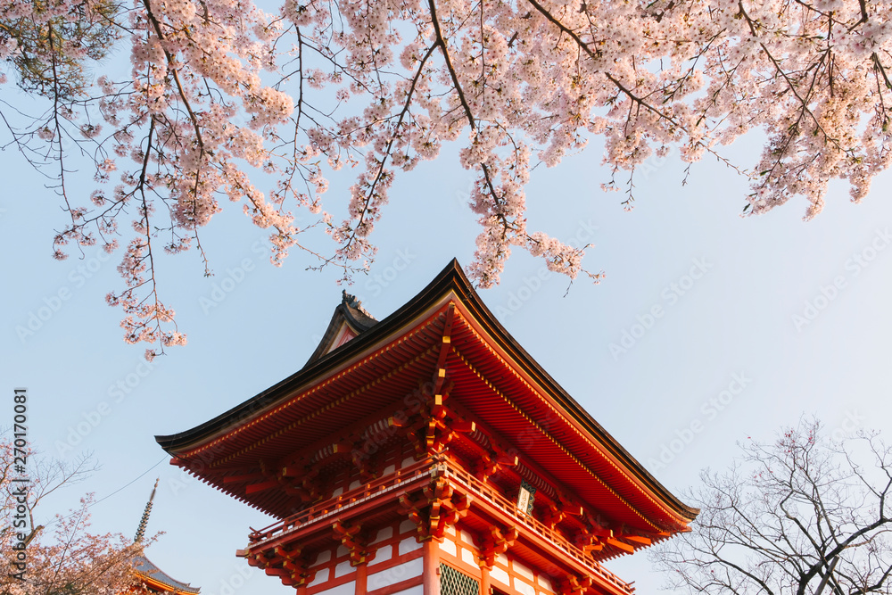 kiyomizu-dera temple and sakura in Japan kiyomizu-dera temple and sakura in Japan