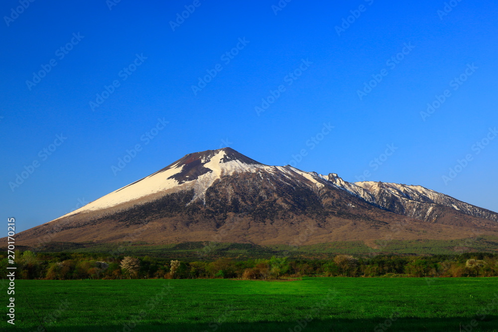 新緑の岩手山 新緑の岩手山