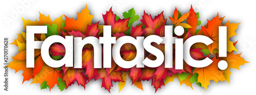 fantastic word and autumn leaves background
