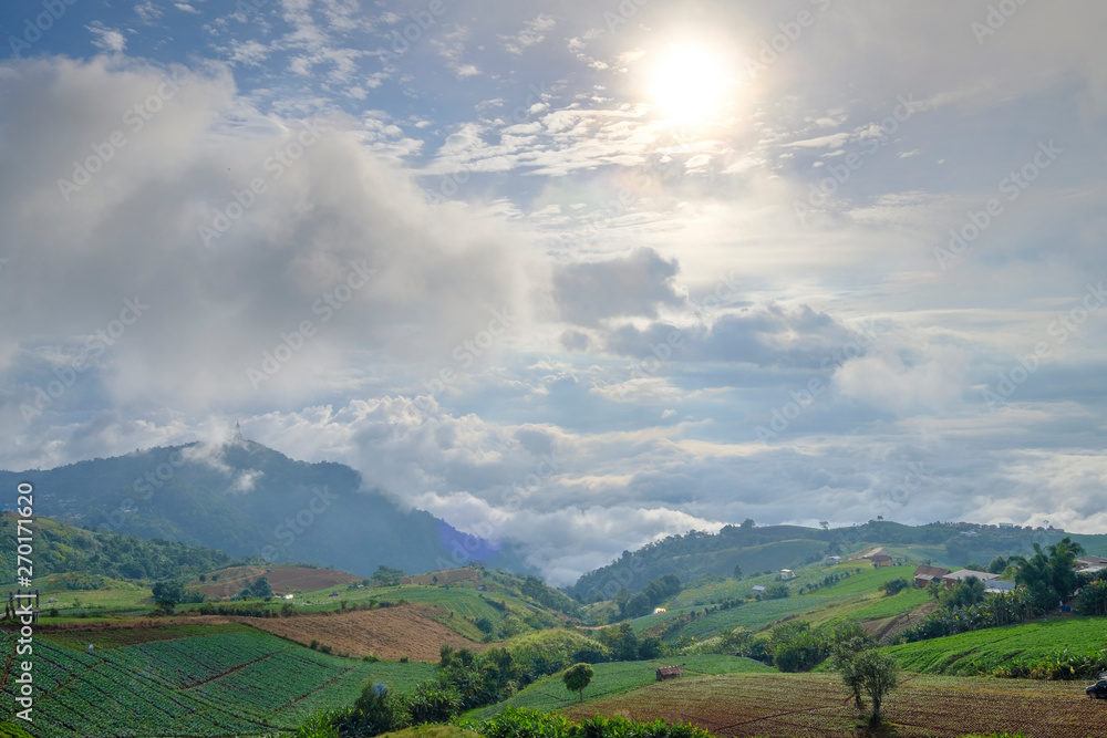 Naklejka premium forest and mountain landscape view