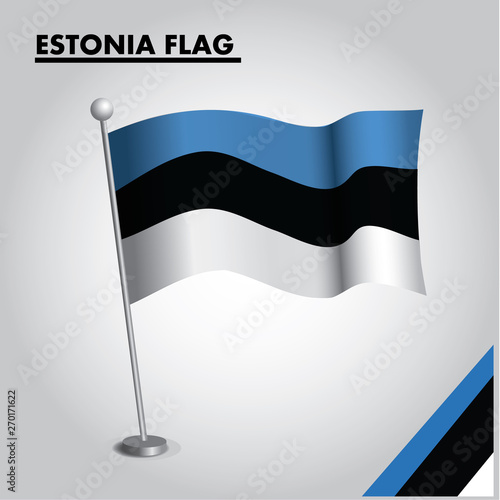 ESTONIA flag icon. National flag of ESTONIA on a pole