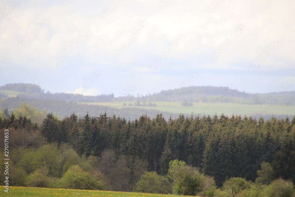 Obraz premium Landschaft im Biosphärengebiet Baden Württembergs