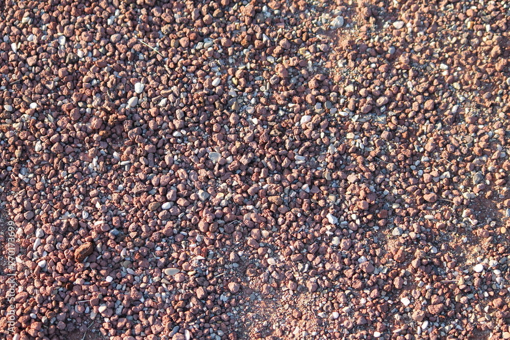 Terra Terra