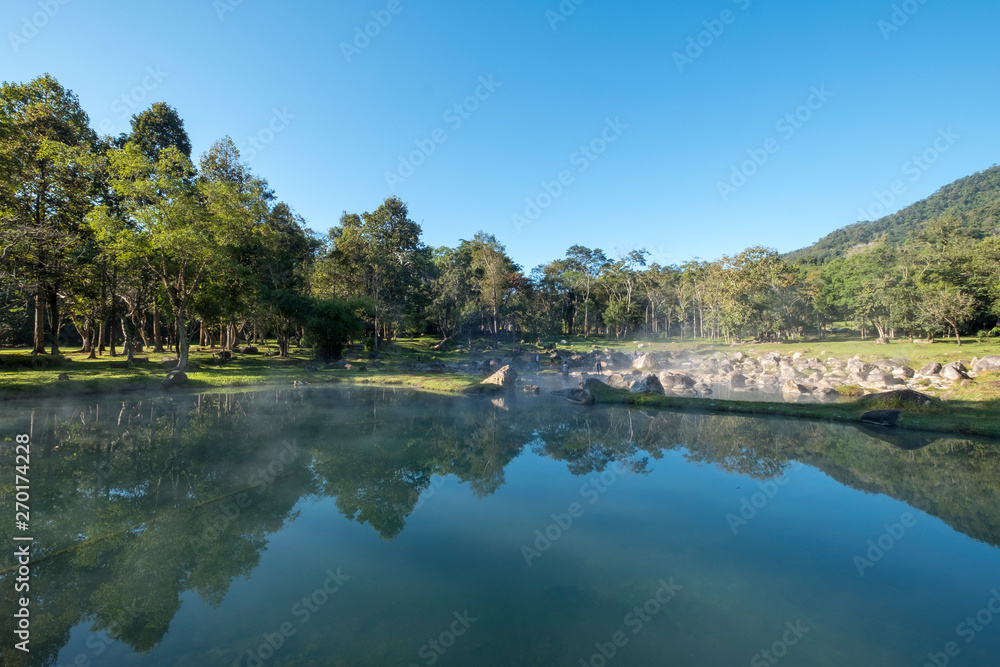 hot spring pool and tree background