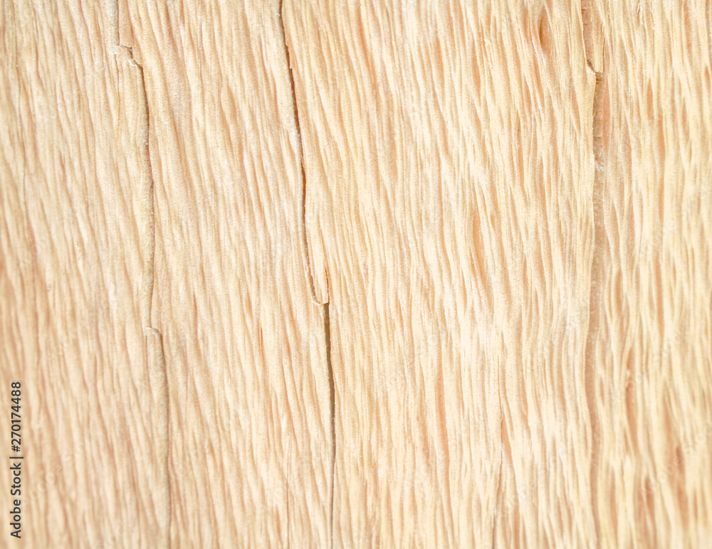 Nature skin of wood patterns texture abstract for background Nature skin of wood patterns texture abstract for background