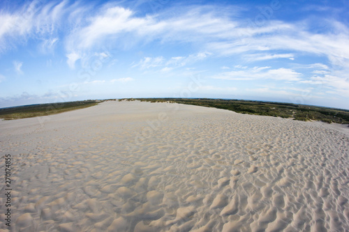A sand dune in Denmark. The largest in the country. 