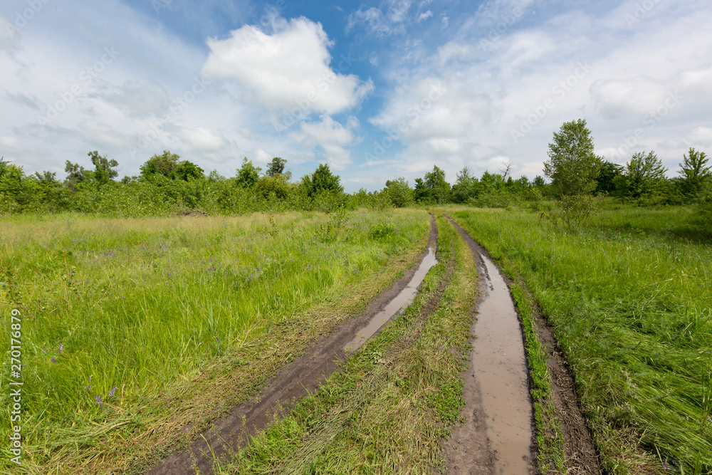 dirt road in steppe