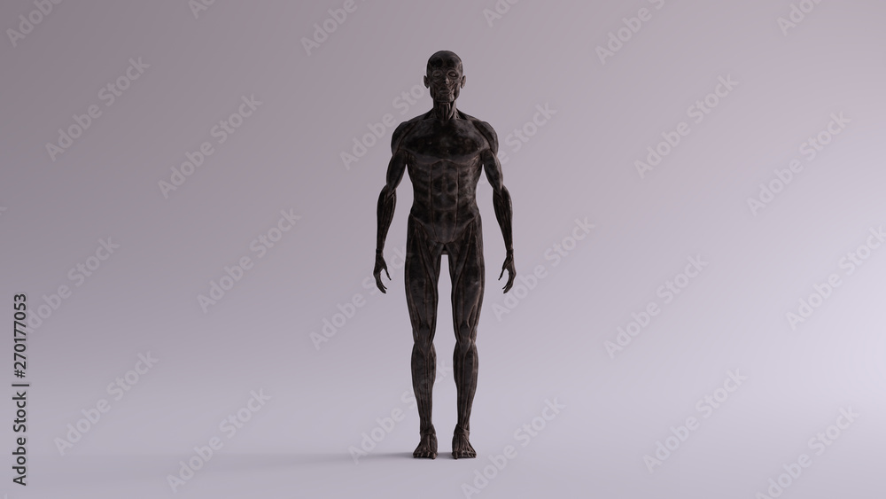 Black Iron Ecorche Muscle and Skeletal System Anatomical Model Front View 3d illustration 3d render