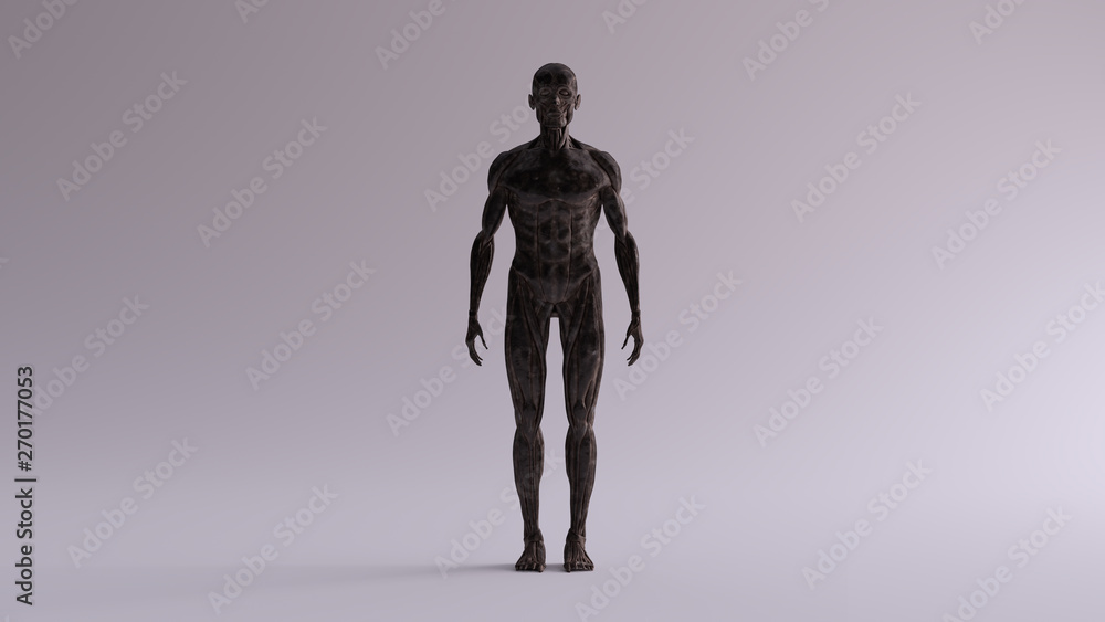 Black Iron Ecorche Muscle and Skeletal System Anatomical Model Front View 3d illustration 3d render Black Iron Ecorche Muscle and Skeletal System Anatomical Model Front View 3d illustration 3d render