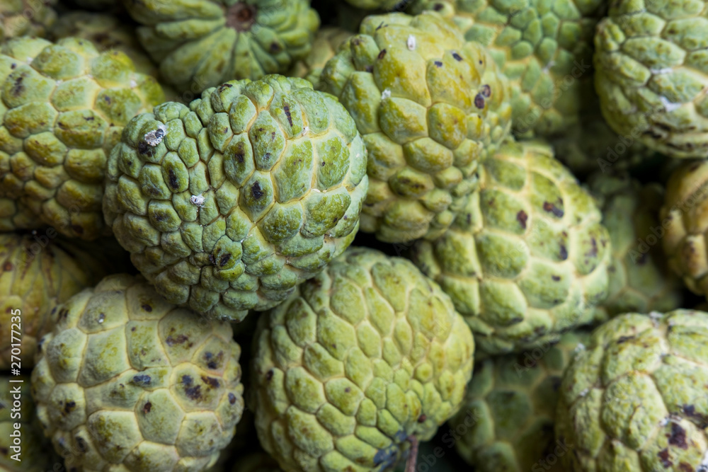 Fototapeta premium custard apple