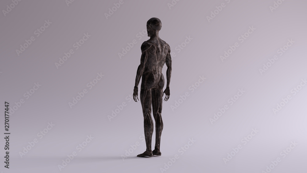 Black Iron Ecorche Muscle and Skeletal System Anatomical Model 3 Quarter Rear Left View 3d illustration 3d render Black Iron Ecorche Muscle and Skeletal System Anatomical Model 3 Quarter Rear Left View 3d illustration 3d render