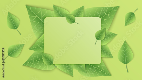 Border with green leaves on green background. Vector illustration.