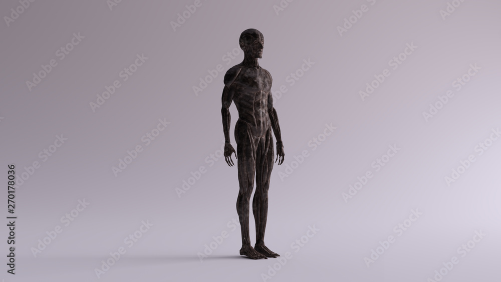 Black Iron Ecorche Muscle and Skeletal System Anatomical Model 3 Quarter Front Right View 3d illustration 3d render Black Iron Ecorche Muscle and Skeletal System Anatomical Model 3 Quarter Front Right View 3d illustration 3d render