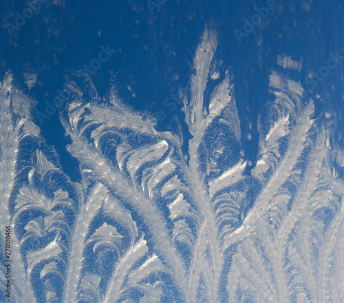 Frostflowers at window. Frozen. Ice. Winter