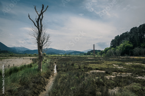 Marshlands and swamps in the Urdaibai Biosphere Reserve in the Basque Country