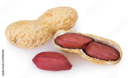 Peanut on white background