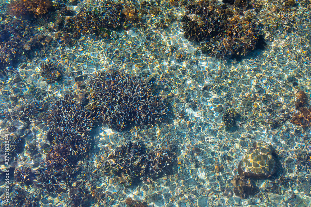 Fototapeta premium Abstract natural sea background