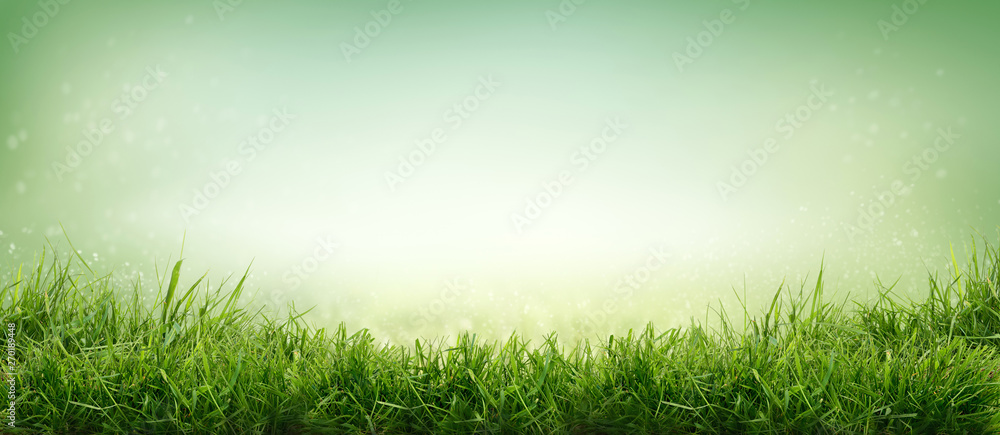 Lush spring green grass with a background of fields and pastures.