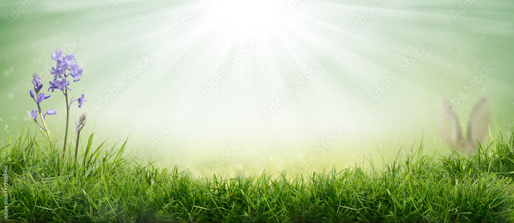 Lush spring green grass background with a sunny summer blue sky over fields and bluebell pastures. Lush spring green grass background with a sunny summer blue sky over fields and bluebell pastures.