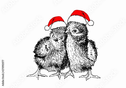 Graphical lovely couple of chicks in Santa hat isolated on white,vector new year illustration 