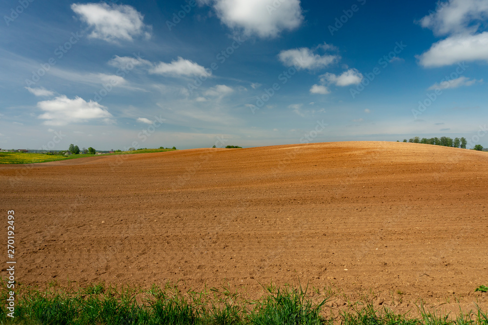 Rolling hills, farm field and dandelions in meadow Rolling hills, farm field and dandelions in meadow