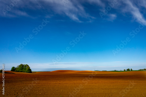 Agricultural landscape with a lone tree in a field
