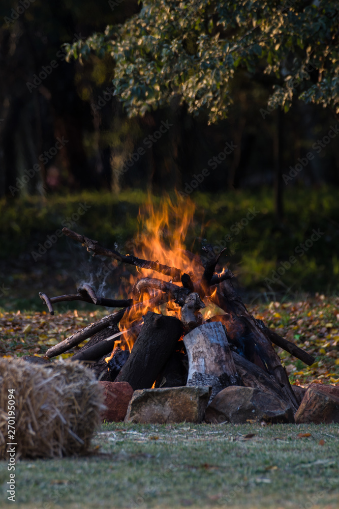 Campsite bonfire