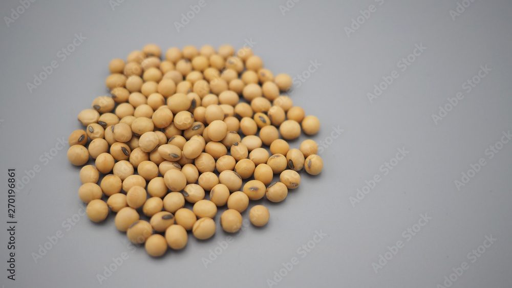 soybeans close up on gray background. soybeans close up on gray background.