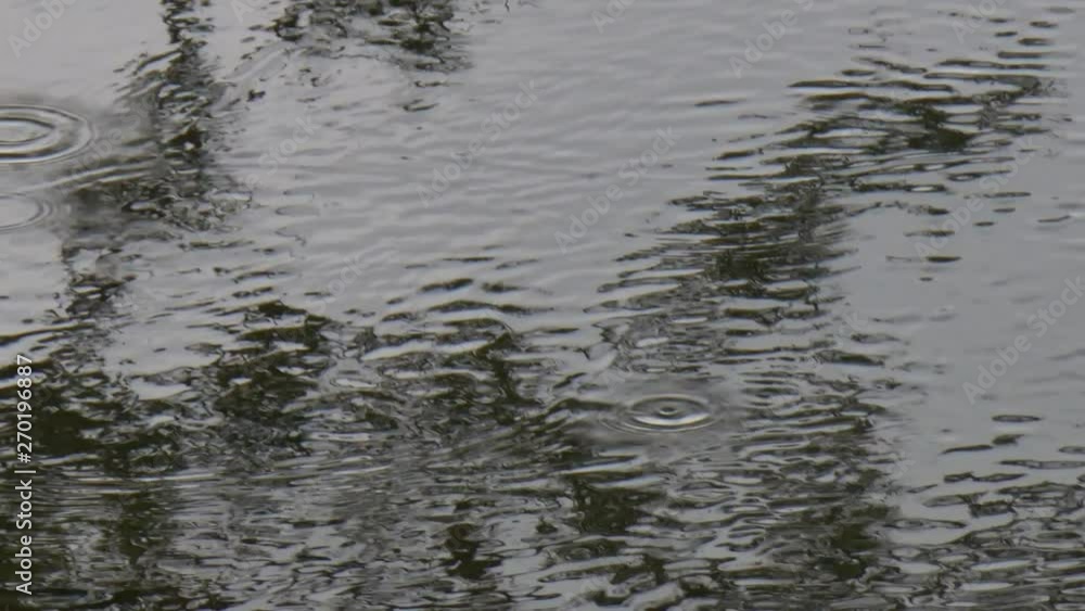 reflection in water reflection in water
