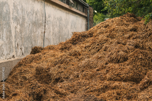 Horse manure pile behind the stable photo