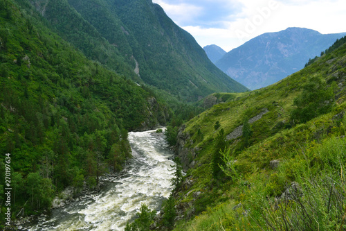 Wild mountain river among green hills.