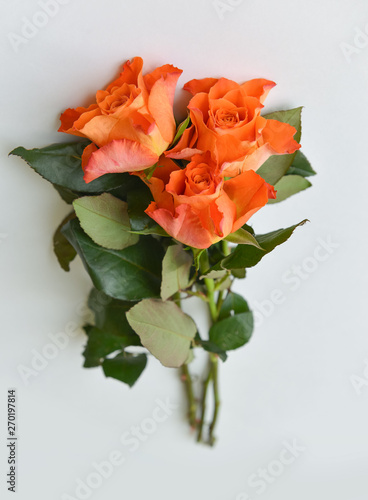 bouquet of bright orange roses on a light background  floral arrangement  festive flowers Valentine s Day  birthday on white background