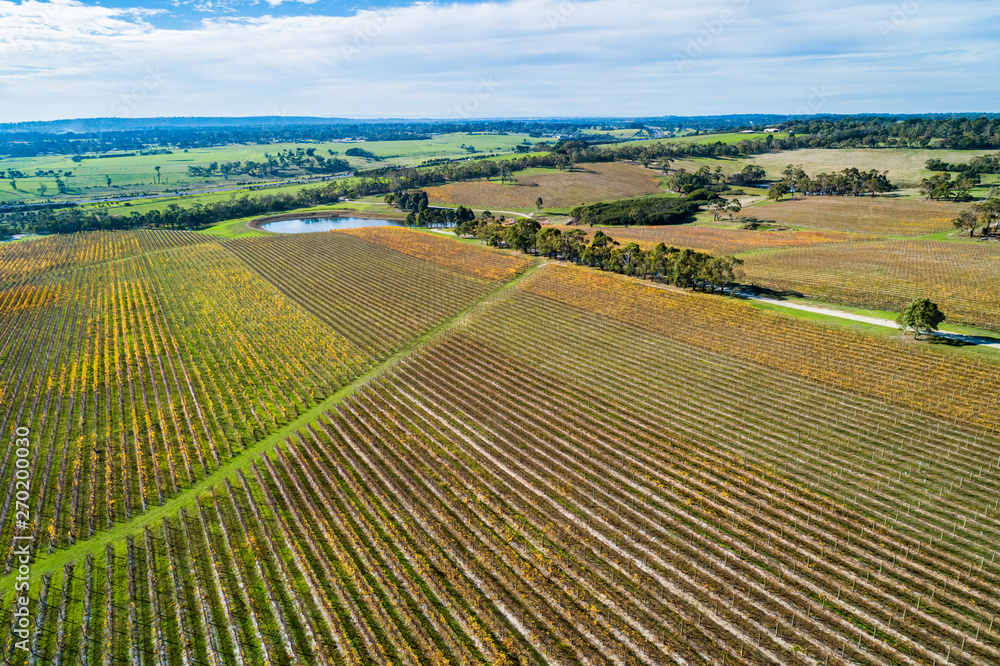 Huge vineyard on Mornington Peninsula - aerial view