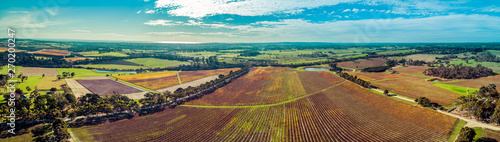 Ultra wide aerial panorama of huge vineyard and rural landscape of Mornington Peninsula, Victoria, Australia photo