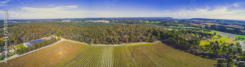 Vineyard and surrounding forest on bright sunny day - wide aerial panorama photo
