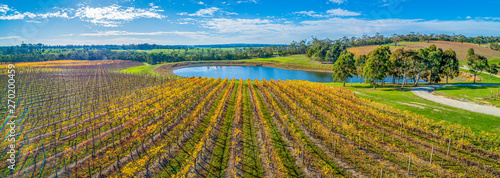 Stunning winery and pond in autumn. Mornington Peninsula, Australia photo