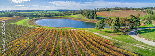 Aerial panorama of vineyard and pond on bright sunny day in fall. Mornington Peninsula, Australia photo