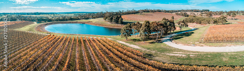 Vineyard and pond on bright sunny day in fall. Mornington Peninsula, Australia photo