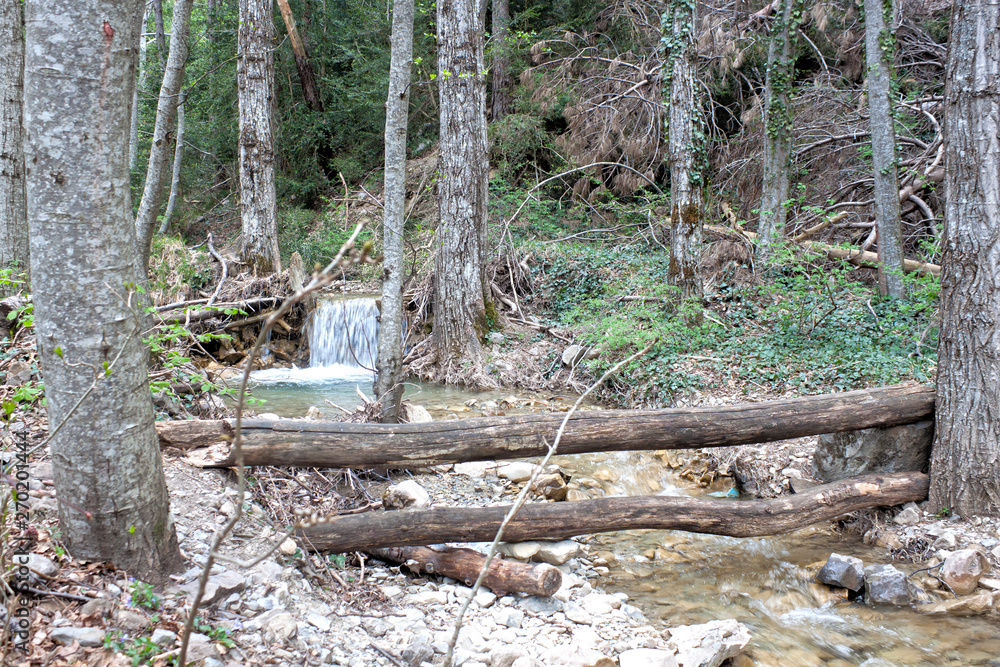 waterfall in the middle of a forest with a trunk fall, pyrenees waterfall in the middle of a forest with a trunk fall, pyrenees