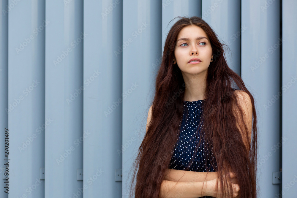 Alluring long haired young lady posing near the metal shutters at the street. Empty space Alluring long haired young lady posing near the metal shutters at the street. Empty space