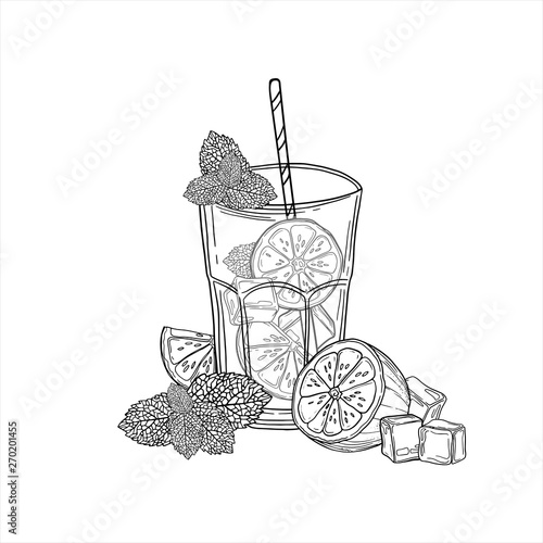 Mojito. Hand drawn illustration of cocktails. Vector mojito skatch.